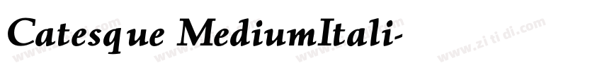 Catesque MediumItali字体转换 Catesque MediumItali字体转换